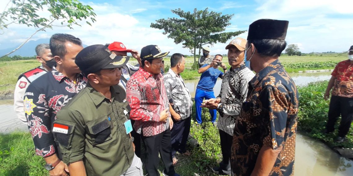 2 Desa Polemik Air Lahan Pertanian, Wabup Sidoarjo, Subandi Segera Normalisasi Saluran Irigasi