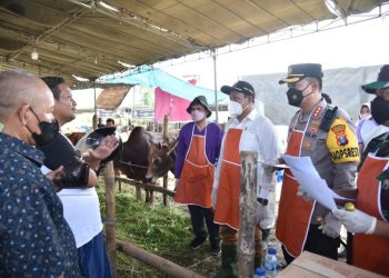 Pastikan Kesehatan Hewan Kurban, Pemkab Sidoarjo Siapkan Lapak Resmi bagi Pedagang