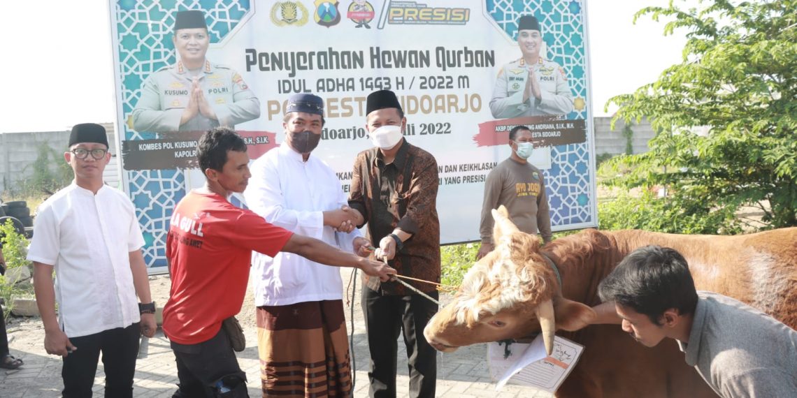 Polresta Sidoarjo Kumpulkan 18 Sapi 68 Kambing, untuk Disalurkan ke Masyarakat