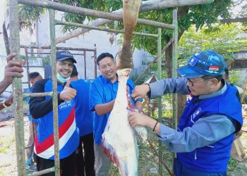 DPD PAN Sidoarjo Sembelih Hewan Qurban, Bangun Winarso Sampaikan Ini!