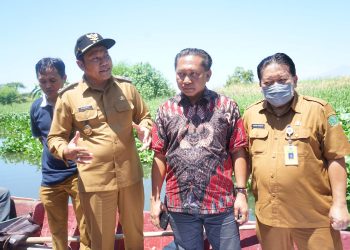 Dipenuhi Tanaman Enceng Gondok, Wabup Subandi Sidak Sungai Tambakrejo Waru