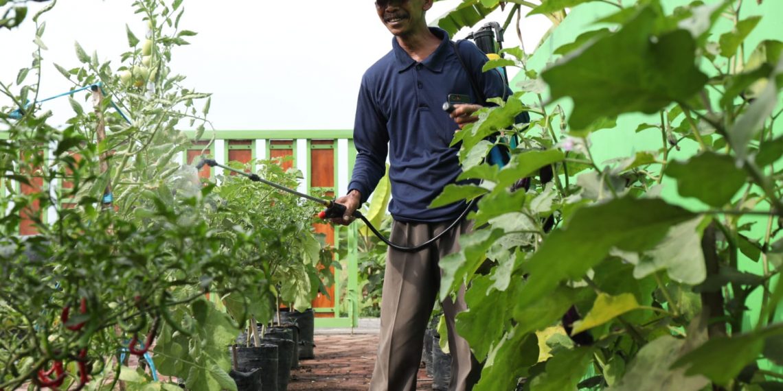 Begini, Gus Muhdlor Siapkan Gerakan Tanam Sayur dan Buah di Polybag