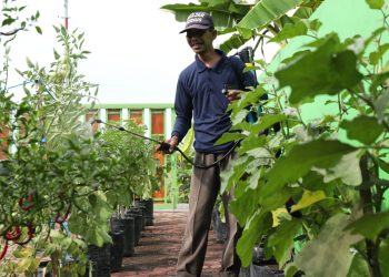Begini, Gus Muhdlor Siapkan Gerakan Tanam Sayur dan Buah di Polybag