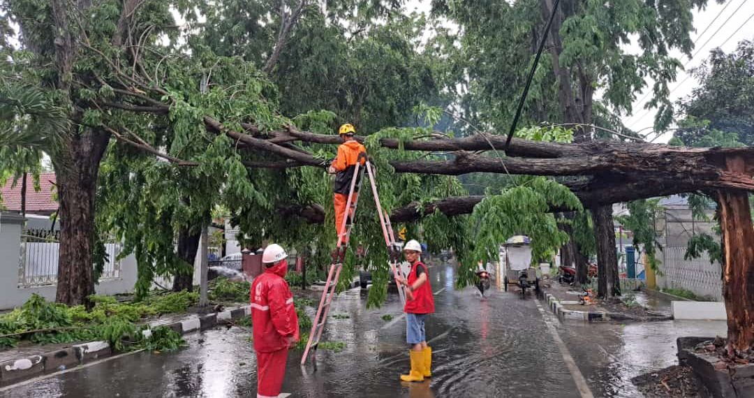 Hujan Disertai Angin Kencang Terjang Sejumlah Wilayah di Sidoarjo