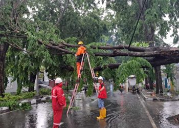 Hujan Disertai Angin Kencang Terjang Sejumlah Wilayah di Sidoarjo