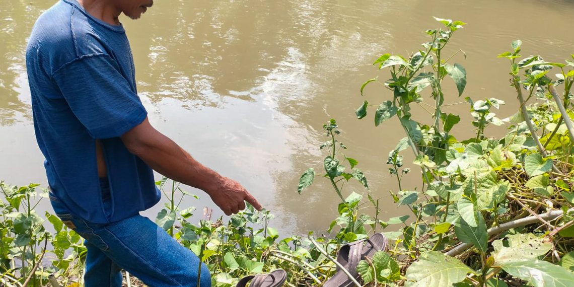 Diduga Hanyut di Sungai, Seorang Pria Lansia di Sidoarjo Hilang