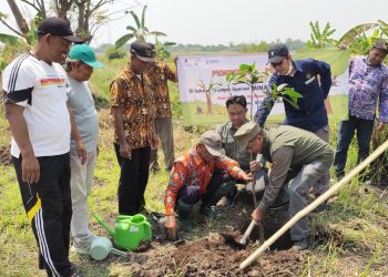 SKK Migas Jabanusa Bersama Minarak Brantas Gas Tanam 100 Bibit Pohon di Desa Kalidawir