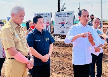 Piawai Ekonomi, Erick Thohir Dinilai Kandidat Capres/Cawapres Idaman Jokowi