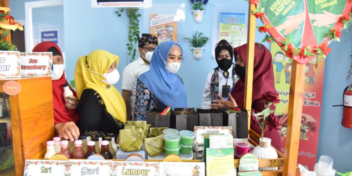 Ketua TP-PKK Sidoarjo, Ning Sasha Ajak Masyarakat Kembali Memanfaatkan TOGA