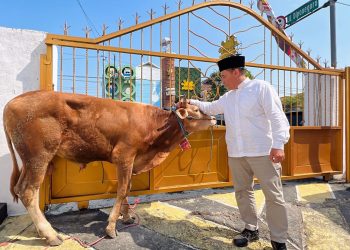Ribuan Paket Daging Kurban Dibagikan BHS untuk Petani, Nelayan hingga Ojol