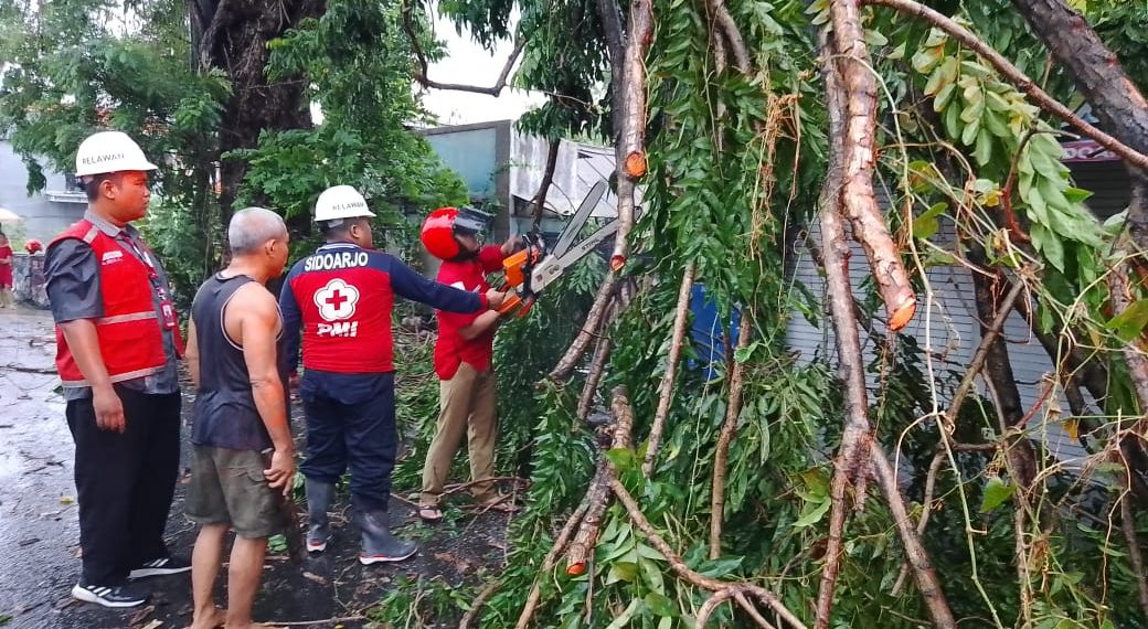 Call Center 112 Sidoarjo Siaga 24 Jam Panggilan Darurat Waspada Pohon Tumbang