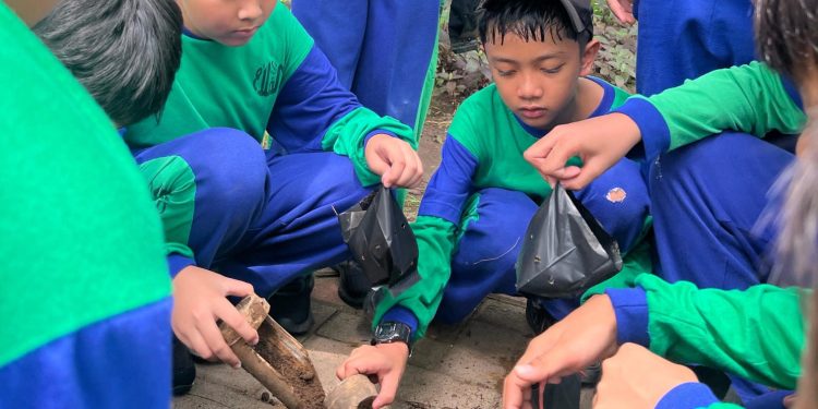 Belajar dari Alam, Siswa SD ICP Al Falah Darussalam ll Gali Pengetahuan Mangrove di Genung Anyar